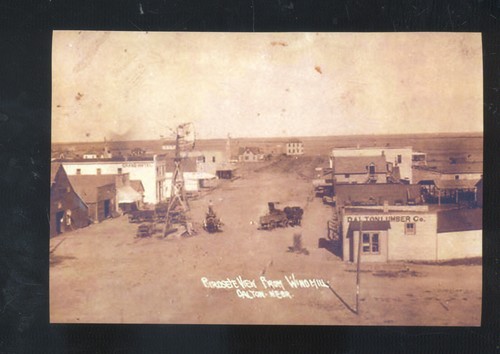 Real photo dalton nebraska - real,